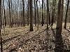 181 Dunaway Rd photo